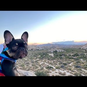 Meet your Posher, Vic